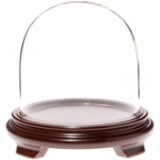 Plymor 5.5" x 5.5" Glass Display Dome Cloche (Walnut Wood Veneer Footed Base)