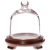 Plymor 5" x 6" Bell Jar Glass Display Dome Cloche, Walnut Wood Veneer Footed Base (Interior size 4.75" x 5")