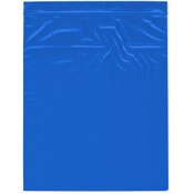 Plymor 10" x 12" (Pack of 100), Blue 2 Mil Zipper Reclosable Plastic Bags
