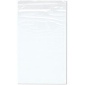 Plymor 10" x 16" (Pack of 100), 2 Mil Zipper Reclosable Plastic Bags