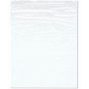 Plymor 13" x 16" (Pack of 100), 2 Mil Zipper Reclosable Plastic Bags