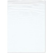Plymor 16" x 20" (Pack of 100), 2 Mil Zipper Reclosable Plastic Bags