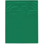 Plymor 10" x 12" (Pack of 100), Green 2 Mil Zipper Reclosable Plastic Bags