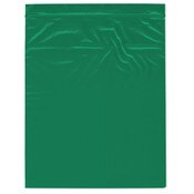 Plymor 10" x 12" (Pack of 100), Green 2 Mil Zipper Reclosable Plastic Bags