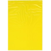 Plymor 9" x 12" (Pack of 100), Yellow 2 Mil Zipper Reclosable Plastic Bags